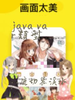 java var类型