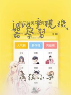 java实现机器学习