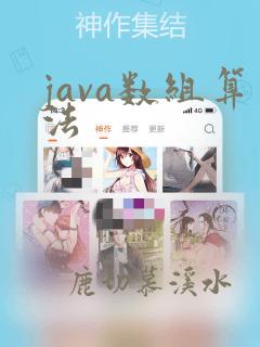 java数组算法
