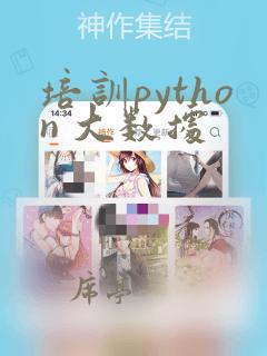培训python 大数据