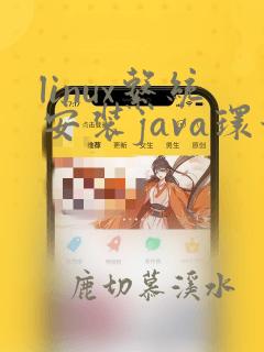 linux系统安装java环境