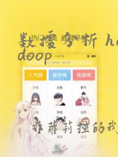 数据分析 hadoop
