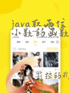 java取两位小数的函数