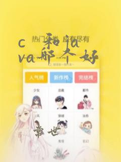 c   和java哪个好