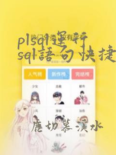 plsql运行sql语句快捷键
