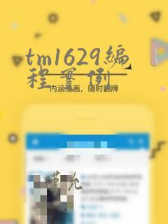 tm1629编程实例