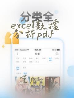 excel数据分析pdf