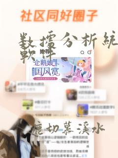数据分析统计类软件