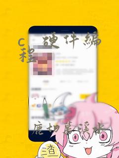 c   硬件编程