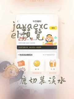 javaexcel预览
