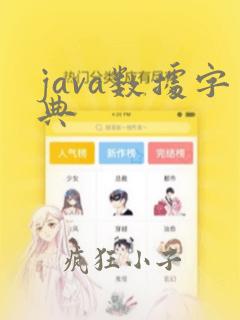 java数据字典
