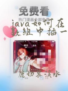java如何在数组中插一个数