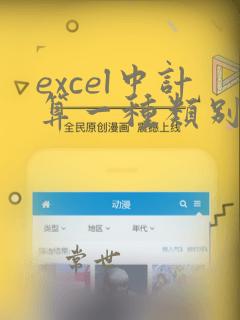 excel中计算一种类别的总和