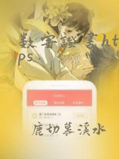 数字证书https