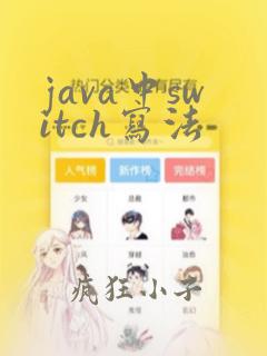 java中switch写法