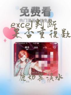 excel判断是否重复数据的函数