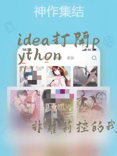 idea打开python