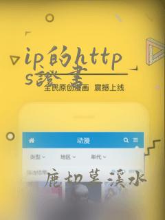 ip的https证书