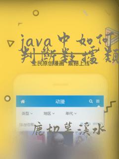 java中如何判断数据类型