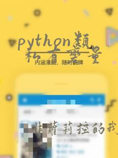 python类 私有变量