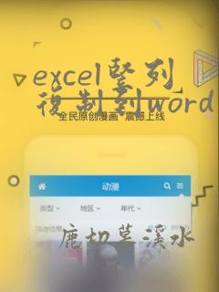 excel竖列复制到word