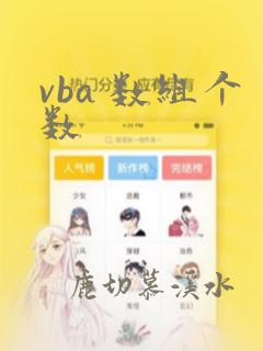 vba 数组个数