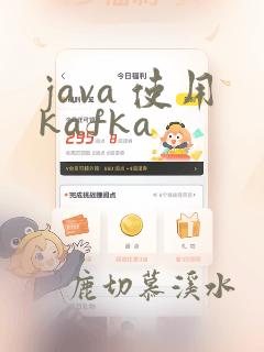 java 使用kafka
