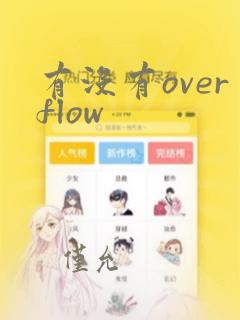 有没有overflow