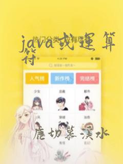 java或运算符