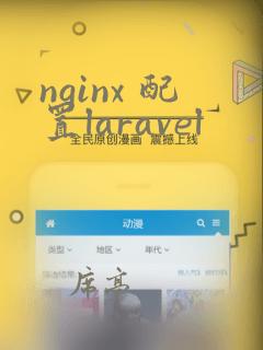 nginx 配置laravel