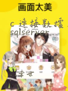 c 连接数据库sqlserver