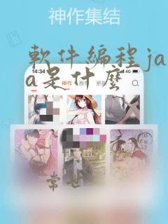 软件编程java是什么