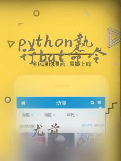 python执行bat命令