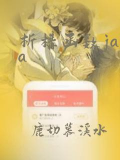析构函数java