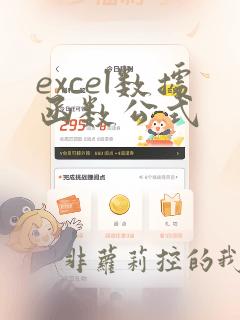 excel数据函数公式