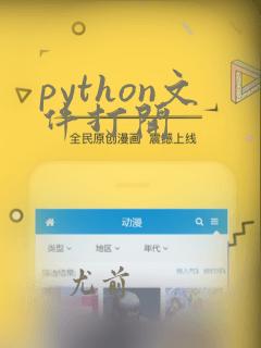 python文件打开