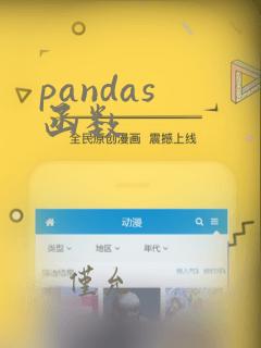 pandas 函数