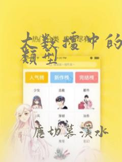 大数据中的数据类型