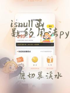 isnull函数的用法python