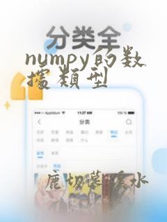 numpy的数据类型