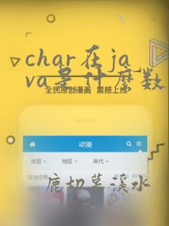 char在java是什么数据类型
