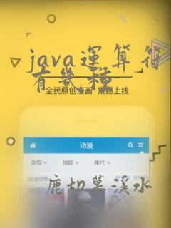 java运算符有几种
