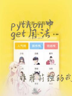 python中get用法