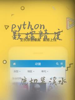 python 数据精度