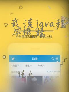 武汉java程序机构