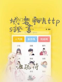 域名和https证书