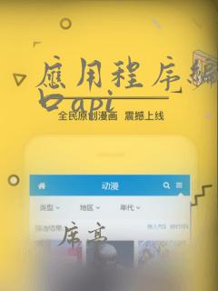 应用程序编程接口api