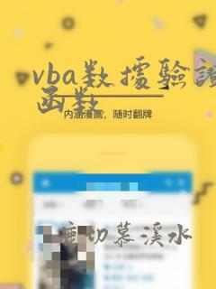 vba数据验证函数