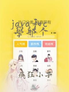 java和c  学那个