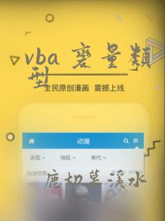 vba 变量类型